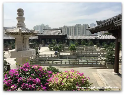 Blooming Bouganvilleas adorn the courtyards at the Chi Lin Nunnery Blooming Bouganvilleas adorn the courtyards at the Chi Lin Nunnery