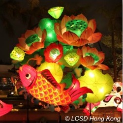 Chinese Lantern Festival Hong Kong Goldfish Lantern Chinese Lantern Festival Hong Kong Goldfish Lantern