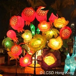 Chinese Lantern Festival Hong Kong Pomegranate Lantern Chinese Lantern Festival Hong Kong Pomegranate Lantern