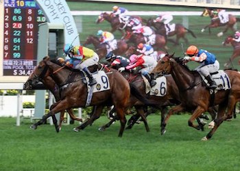 Hong Kong Horse Races at Sha Tin Racecourse Hong Kong Horse Races at Sha Tin Racecourse