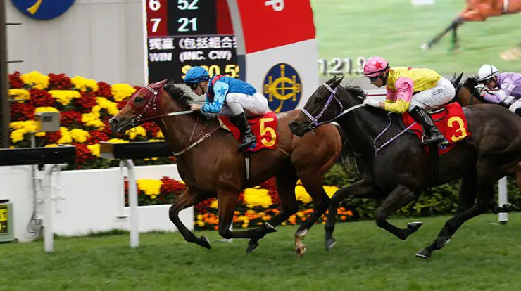 The Hong Kong Chinese New Year Horse Race Meeting at Sha Tin Chinese New Year Cup The Hong Kong Chinese New Year Horse Race Meeting at Sha Tin Chinese New Year Cup