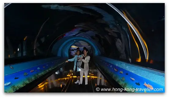 Chinese Sturgeon Tunnel Chinese Sturgeon Tunnel Ocean Park