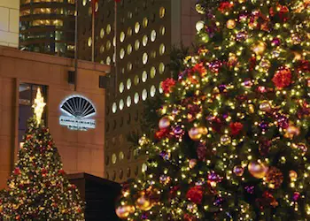 Mandarin Oriental and Christmas Trees Mandarin Oriental and Christmas Trees