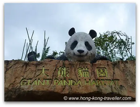 Giant Panda Habitat Giant Panda Habitat