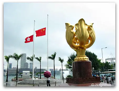 Golden Bauhinia Golden Bauhinia