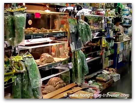 Hong Kong Goldfish Market Hong Kong Goldfish Market
