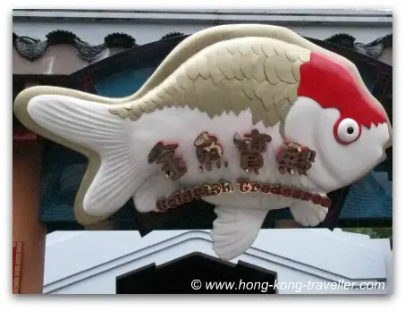 Goldfish Treasures Ocean Park Goldfish Treasures Ocean Park