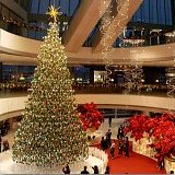 Hong Kong December Events Winterfest Hong Kong December Events Winterfest