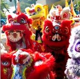 Hong Kong January Events Hong Kong January Events: Lion Dances