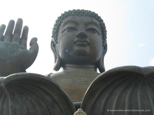 Hong Kong Big Buddha on Lotus Leaves Hong Kong Big Buddha on Lotus leaves