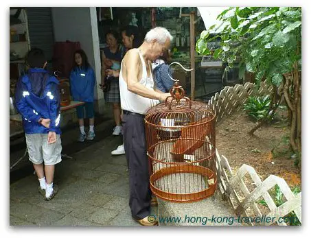 Hong Kong Bird Market Hong Kong Bird Market