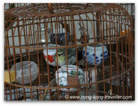 Hong Kong Bird Market Hong Kong Bird Market