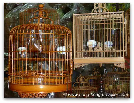 Hong Kong Bird Market Hong Kong Bird Market