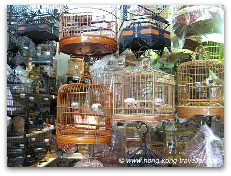 Hong Kong Bird Market Hong Kong Bird Market