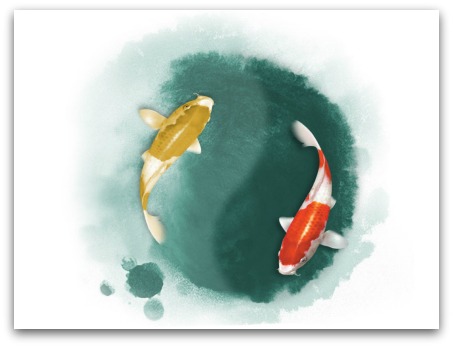 Hong Kong Culture Events - Free Feng Shui Class Hong Kong Culture Events - Free Feng Shui Class