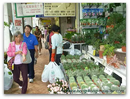 Hong Kong Flower Market Stands Hong Kong Flower Market Stands