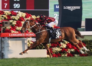The Hong Kong International Races The Hong Kong International Races