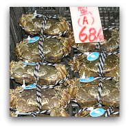 Hong Kong Markets: Seafood Market Hong Kong Markets: Seafood Market