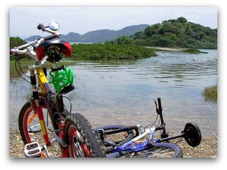 Eco Biking in the New Territories Eco Biking in the New Territories