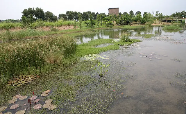 Hong Kong Wetland Park in the New Territories Hong Kong Wetland Park in the New Territories