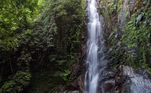 Tai Mo Shan Waterfall Hike Tai Mo Shan Waterfall Hike