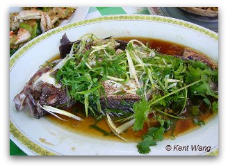 Steamed Fish in Hong Kong Steamed Fish in Hong Kong
