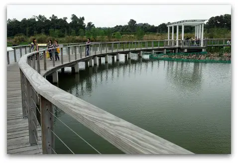 Hong Kong Wetland Park Stream Walk Hong Kong Wetland Park Stream Walk
