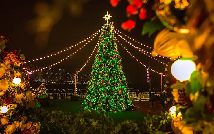Hong Kong Christmas Tree and Decorations West Kowloon Hong Kong Christmas Tree and Decorations West Kowloon