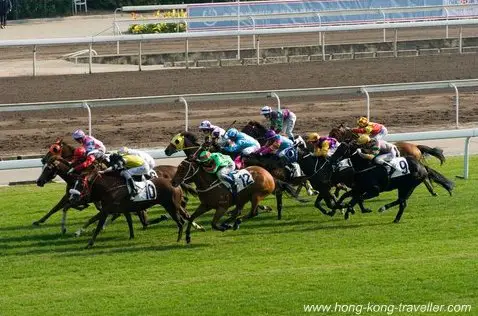 Horse Racing Hong Kong Horse Racing Hong Kong