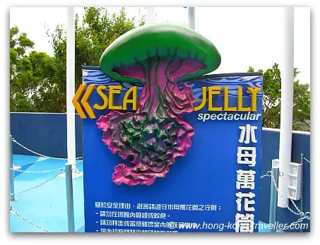 Jelly Fish Aquarium Ocean Park Jelly Fish Aquarium Ocean Park