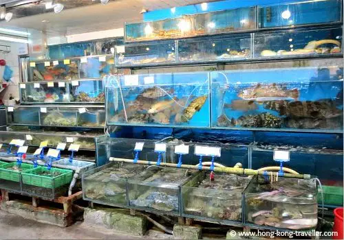 Seafood Tanks at Restaurants in Sok Kwu Wan Seafood Tanks in Sok Kwu Wan