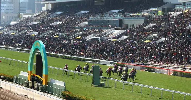 The Hong Kong New Year Horse Race Meeting at Sha Tin The Hong Kong New Year Horse Race Meeting at Sha Tin