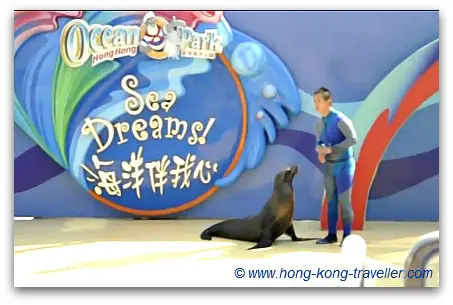 Ocean Park Dolphin and Sea Lion Show Ocean Park Dolphin and Sea Lion Show