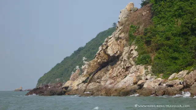 Tai O Boat Ride-Lantau Island Tai O Boat Ride-Lantau Island
