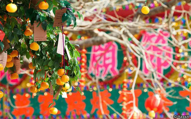 Lam Tsuen Hong Kong Well Wishing Festival Lam Tsuen Hong Kong Well Wishing Festival